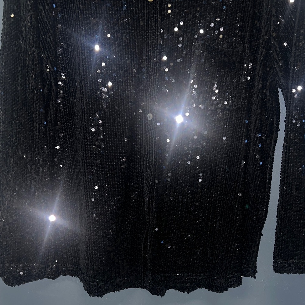 Vici Black Sheer Sequin Button-Down Shirt - Picture 5 of 7